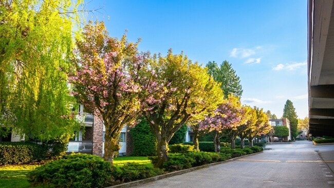 Photo - Cedar Lodge Apartments