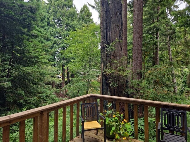 Photo - Pet Friendly! Redwood views! 3-bedroom hom...