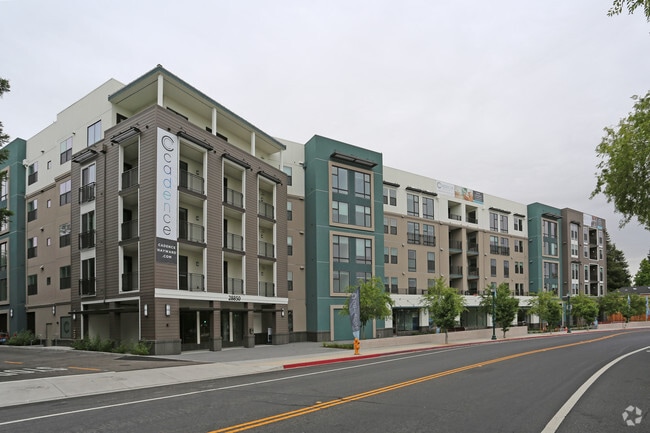 Cadence Apartments