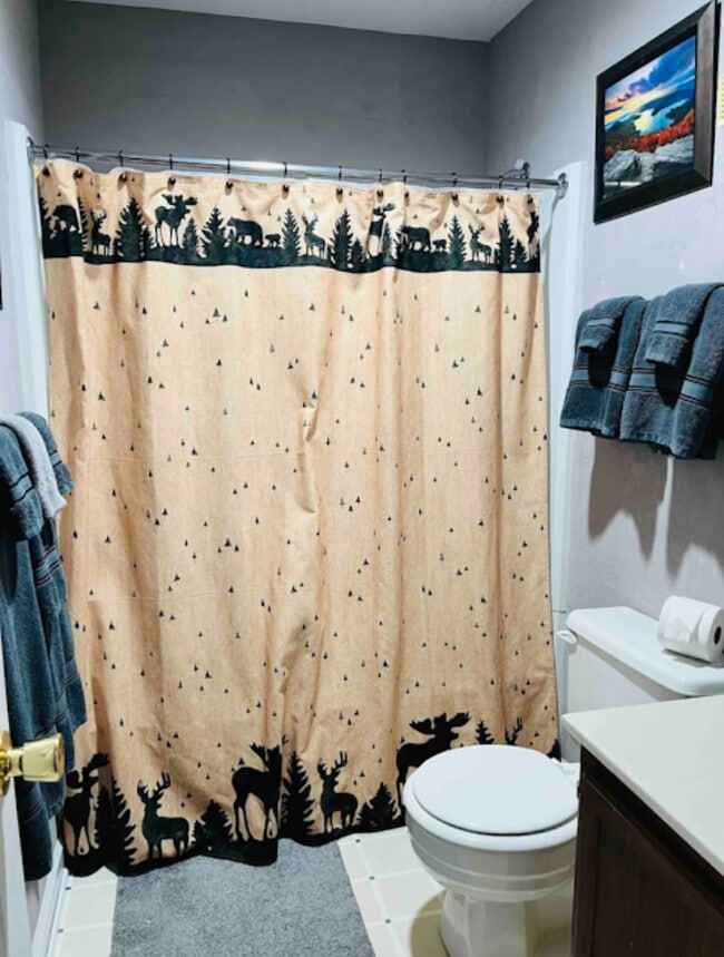 Bathroom - 301 Pinnacle Inn Rd Unit Beech Mountain Ski Suite