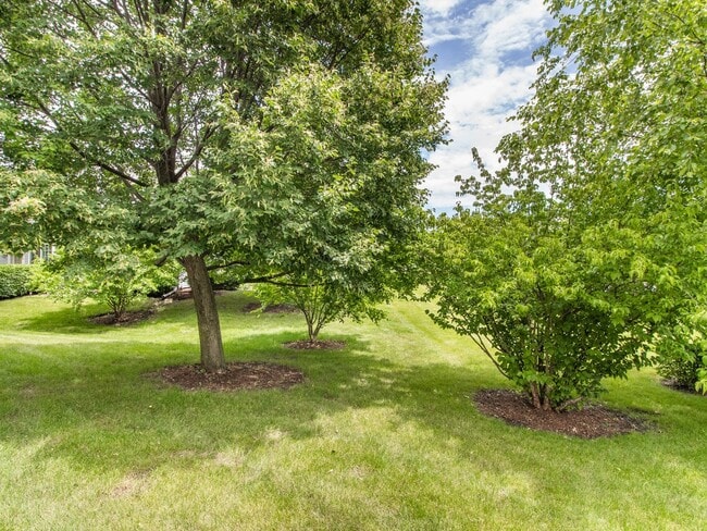 Building Photo - 3023 Anton Dr Unit 3023 Rental