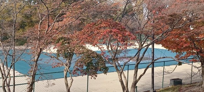 Photo - 2311 Pimmit Dr Unit 812E