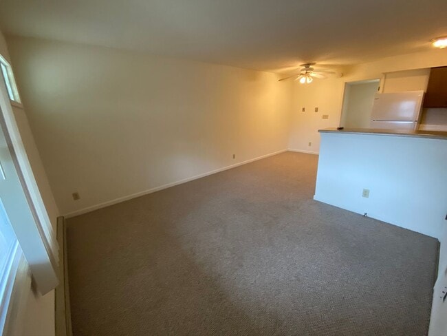 Photo - 307 & 311 W. Birch