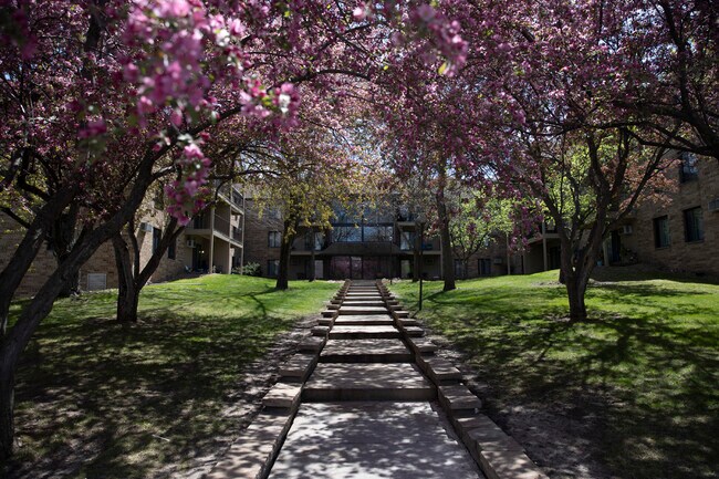 Building Courtyard in Spring