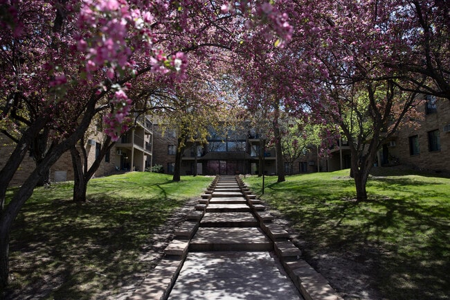 Building Courtyard in Spring