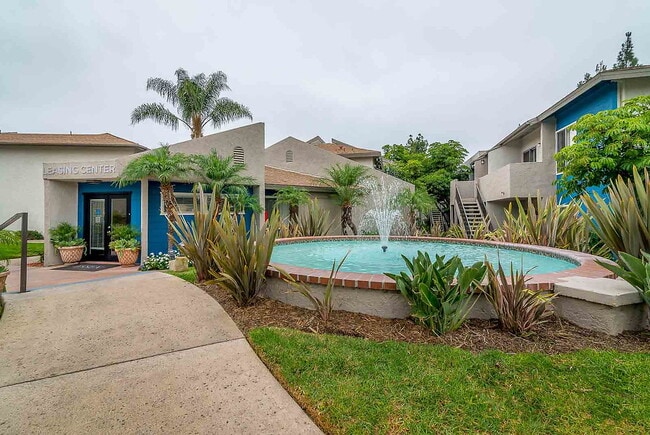 Photo - Shadow Point