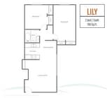 Lily