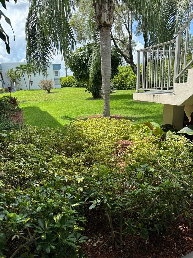 Photo - 311 Burgundy G