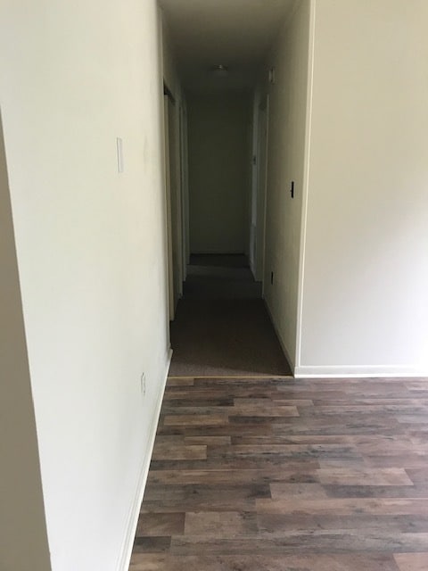 Photo - 206 Hayward Ave