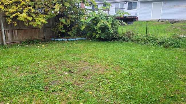 Photo - 2556 Thomas st