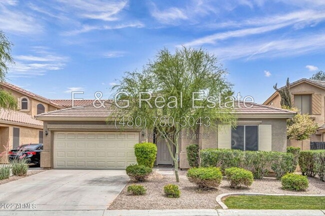 1167 N Cholla St