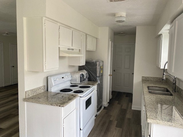 Photo - 12222 Carola Forest Dr