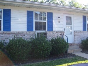 Blue Pines Apartments - Blue Pines Apartments