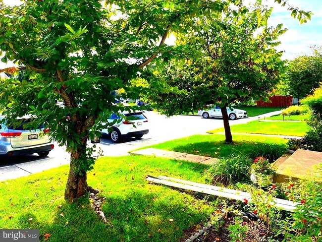 Photo - 3269 Halcyon Ct