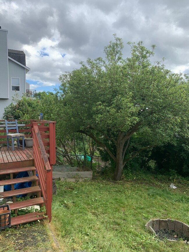 Photo - 4333 Phinney Ave N Unit Garden