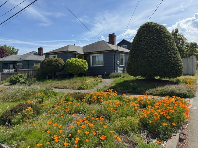 Building Photo - Spacious 2 Bedroom Home with Large Open Kitchen