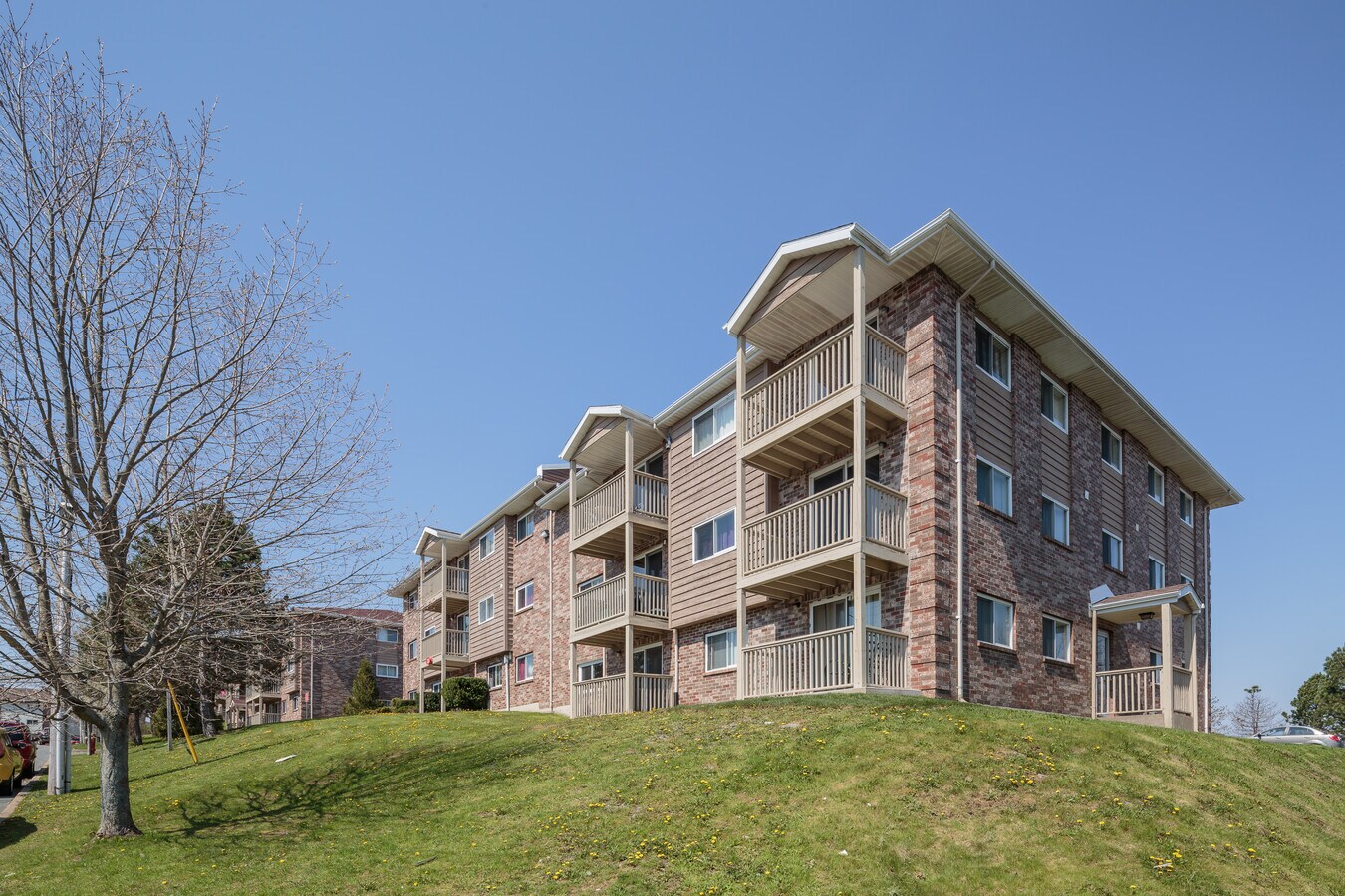 Photo - 20 Joseph Young St