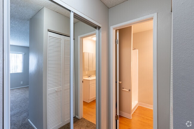 Mirrored Closets