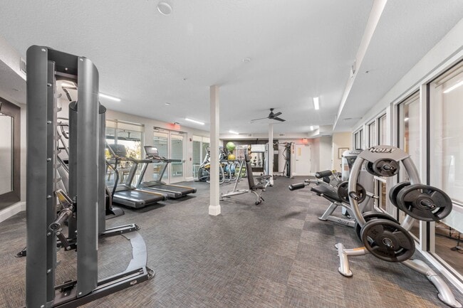 Gimnasio