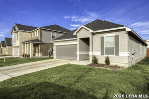 Photo - 702 Eucharis