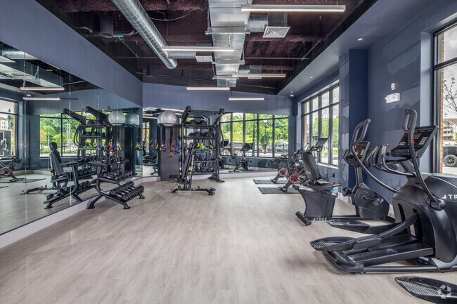 Gimnasio - The Truette