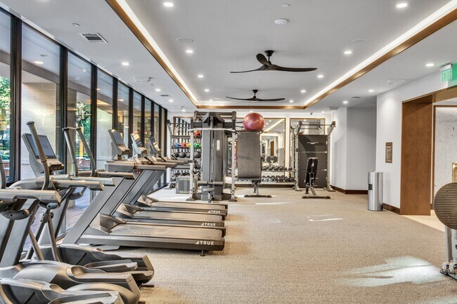 Photo - The Park at Katy Trail