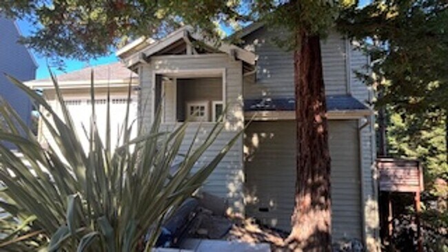 Building Photo - Stunning Tree-House Living with Beach Acce...