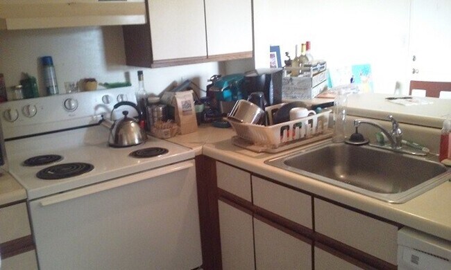 Photo - 4 Bed 2 Bath Condo Available Summer 2026