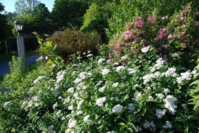 Photo - 285 East Side