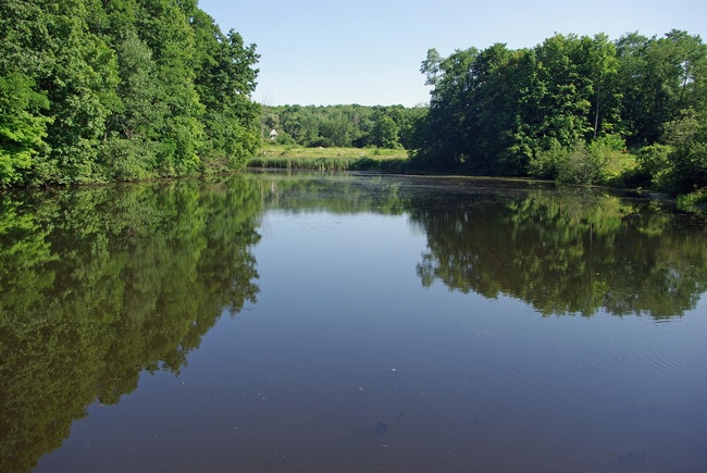 The Spinney at Pond View