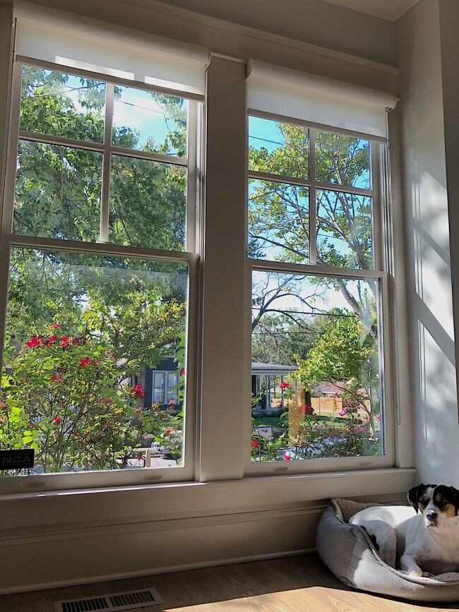 Photo - 313 S 17th St