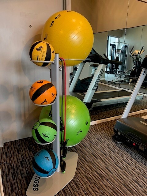Fitness Room Accessory Rack - Wood Creek Apartments