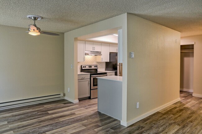 Modern Living Room and Kitchen