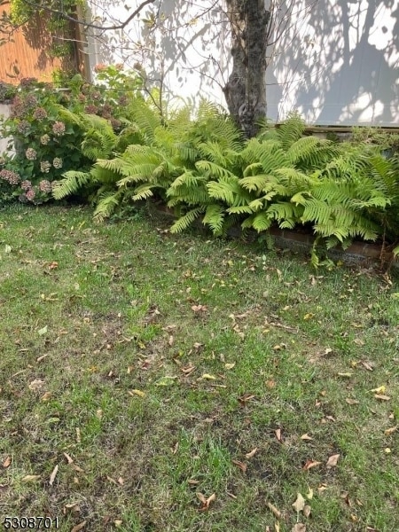 Photo - 10 Edisonia Terrace Unidad 1