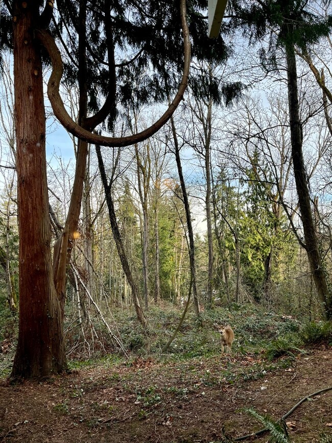 Photo - 3950 96th Ave SE Unidad North Mercer Hideaway