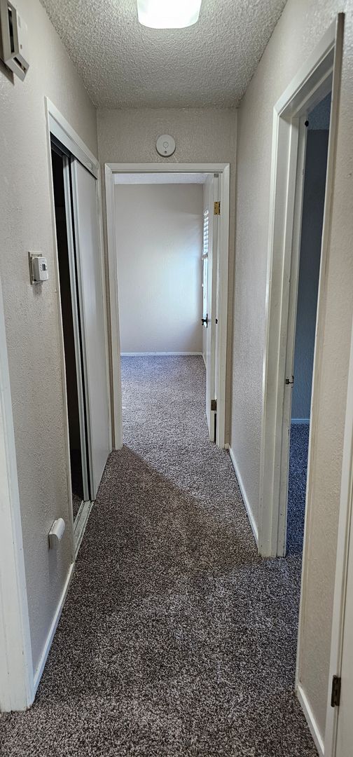 Photo - 715 Mikkelsen Dr