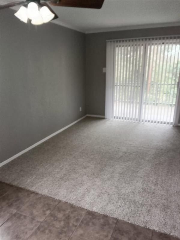 Building Photo - 2114 E Marshall Ave Rental