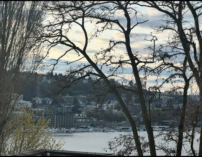 Photo - Aloha Unidad #1