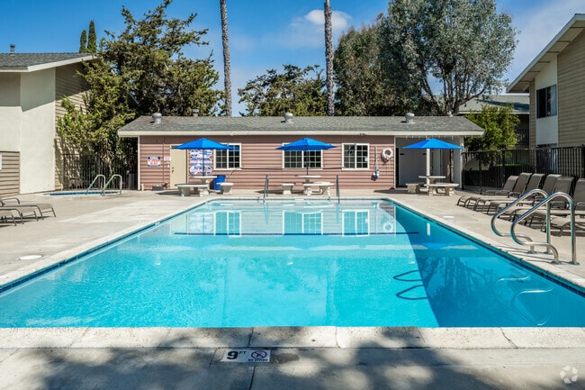 Pool and Spa