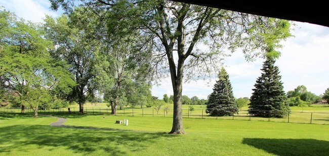 Rear view - 333 Memory Ln Unit 2