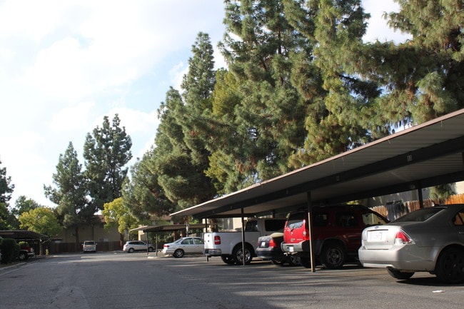 Vineyard Apartments