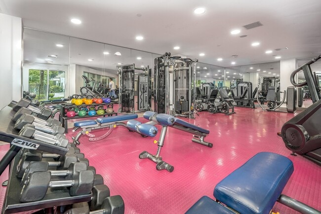 Society Westshore Apartments