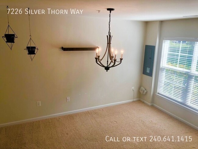 Photo - 7226 Silver Thorn Way