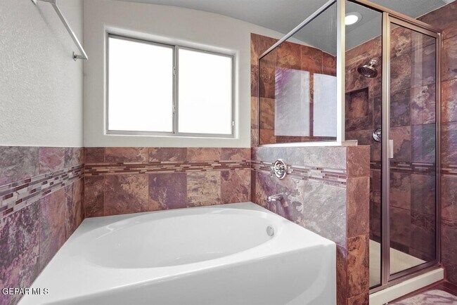 Photo - 14624 Lipizzan