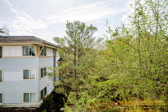 Photo - 4740 21st Ave NE Unidad SI FL1-ID1013