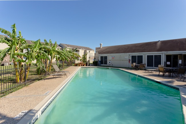 Photo - Jasmine Park