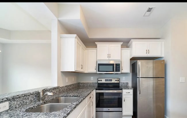 Photo - 1135 Somerset Springs Dr