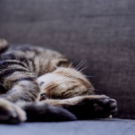 Photo - Walnut Park Apartments