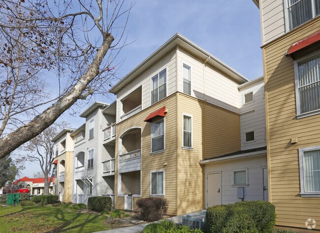 Photo - Italian Gardens