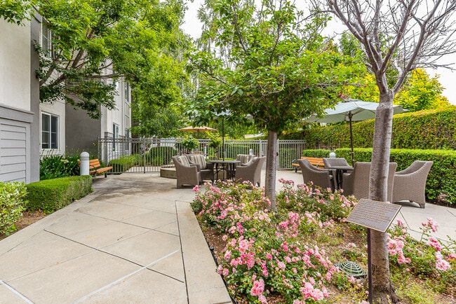 Photo - Alvarado Senior Living